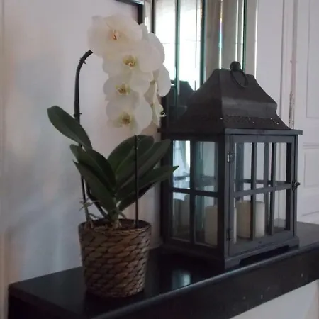 Le 31 Apartmán *