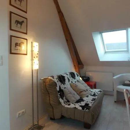 Le 31
